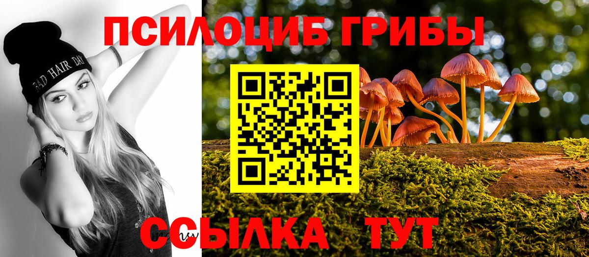 Галлюциногенные грибы Magic Shrooms  Вход с VPN  Елабуга 