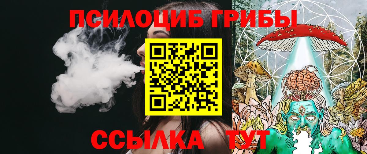 Галлюциногенные грибы прущие грибы Елабуга